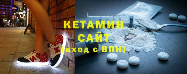 дживик Ельня