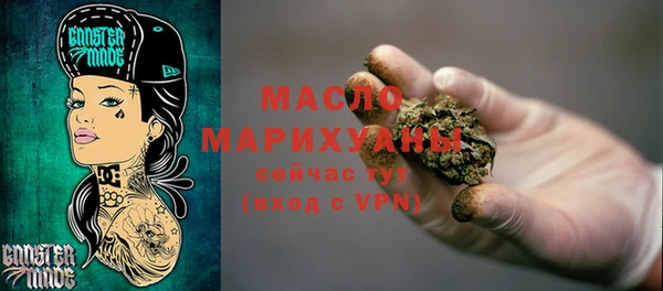 дживик Ельня