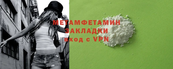 дживик Ельня