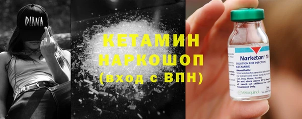 дживик Ельня