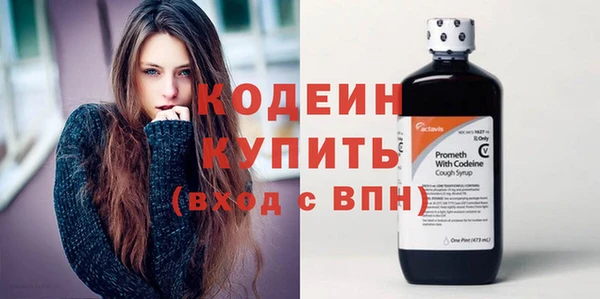 дживик Ельня