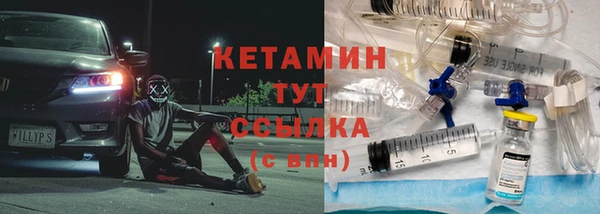 дживик Ельня