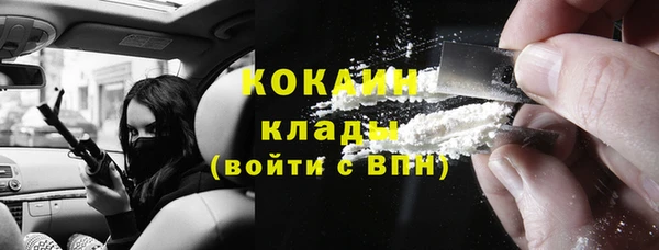 прущие крисы Елизово