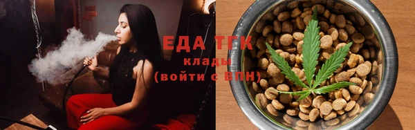 дживик Ельня