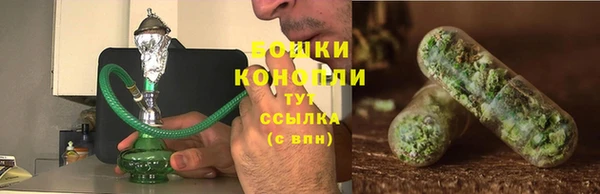 дживик Ельня