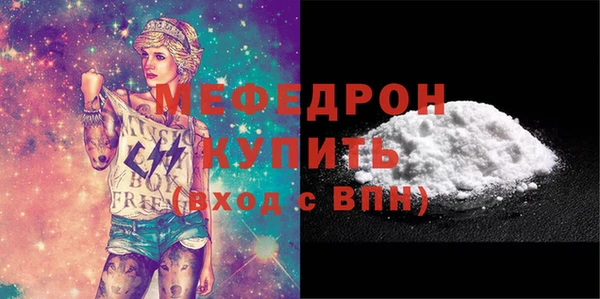 дживик Ельня