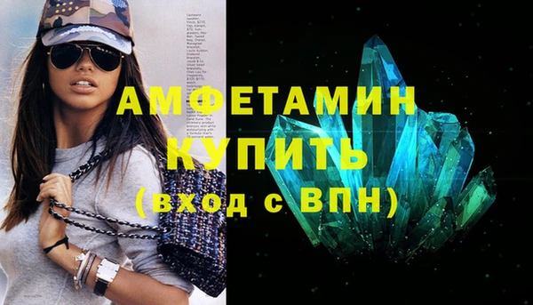 дживик Ельня