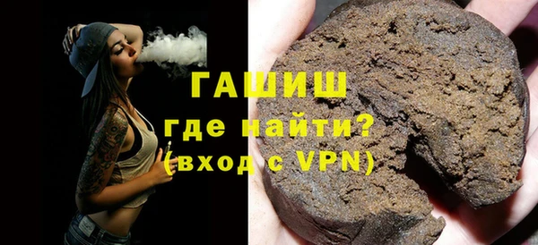 дживик Ельня