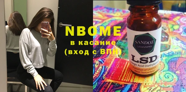 дживик Ельня