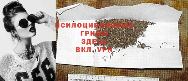 дживик Ельня