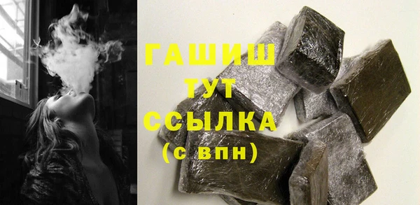 дживик Ельня