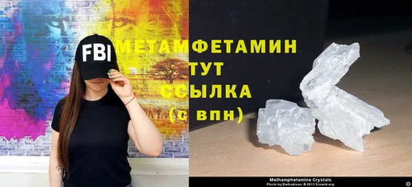 дживик Ельня