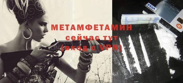 дживик Ельня