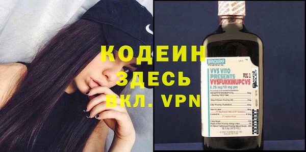 дживик Ельня