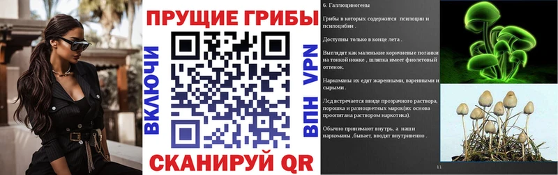 Купить закладки  Нововоронеж  Псилоцибиновые грибы ЛСД 